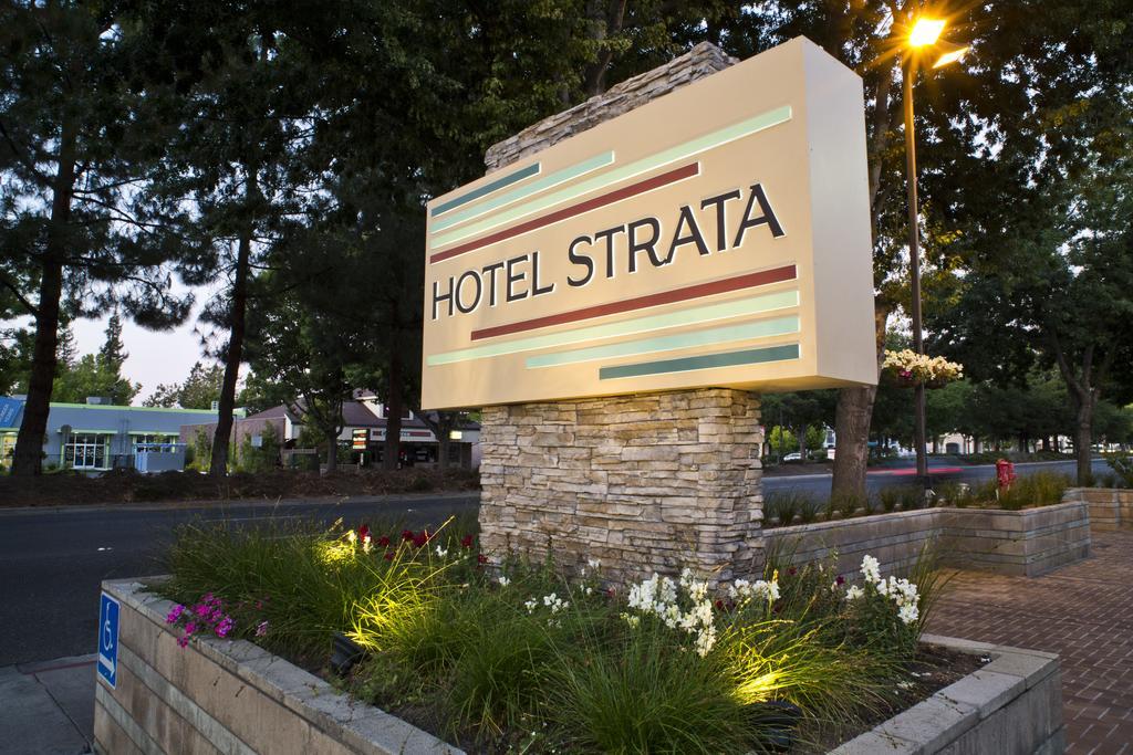 מאונטיין וויו Hotel Strata מראה חיצוני תמונה